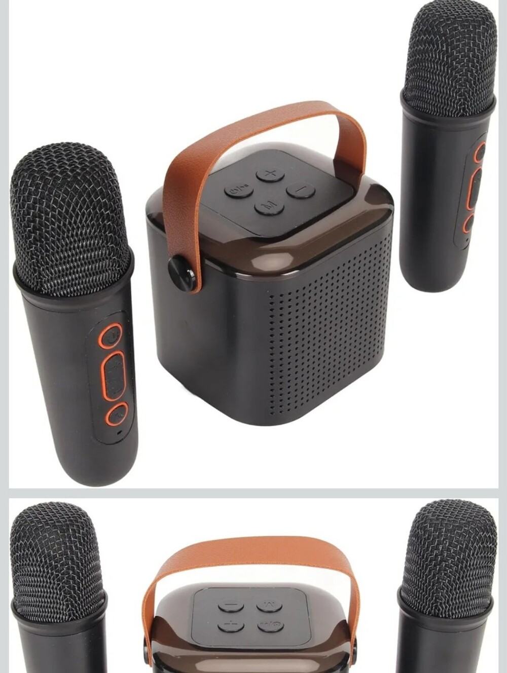 Portable Bluetooth Karaoke Speaker with Dual Microphones